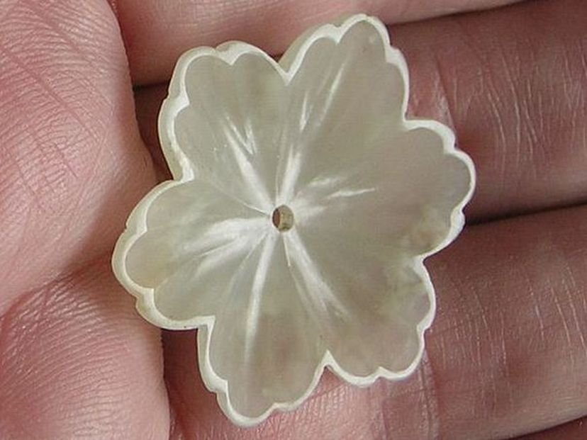 Flower   6 - (3141)